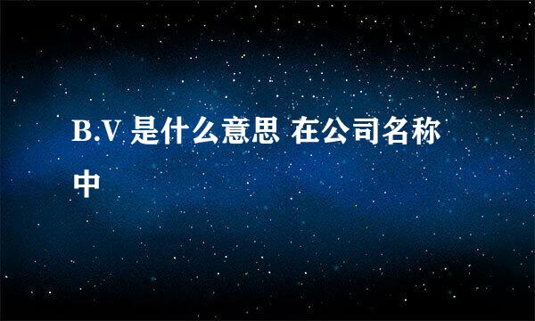 B.V 是什么意思 在公司名称中