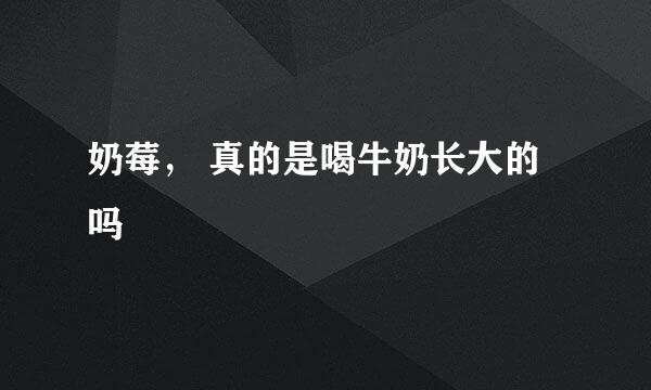 奶莓， 真的是喝牛奶长大的吗