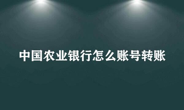 中国农业银行怎么账号转账