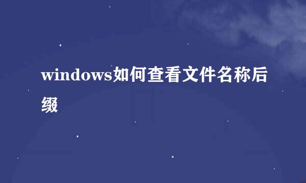 windows如何查看文件名称后缀