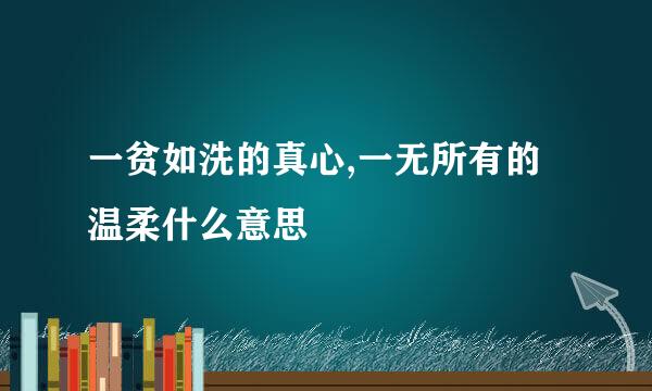 一贫如洗的真心,一无所有的温柔什么意思