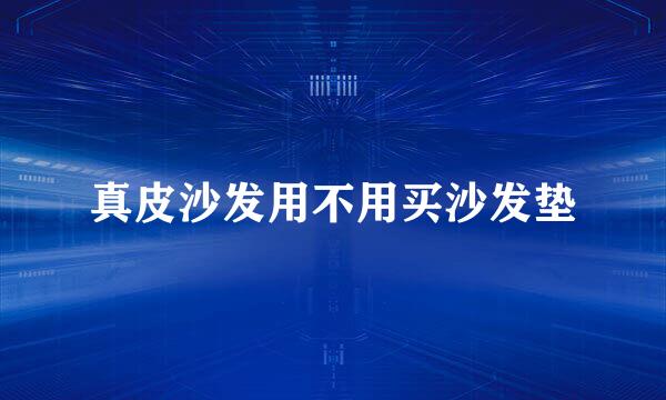 真皮沙发用不用买沙发垫