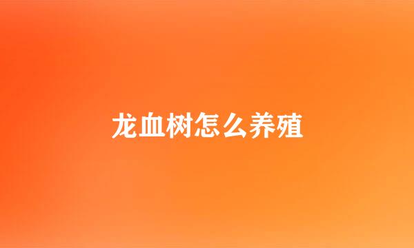 龙血树怎么养殖