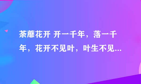 荼蘼花开 开一千年，落一千年，花开不见叶，叶生不见花，花叶生生相错， 又名 彼岸花这是什么意思呢``