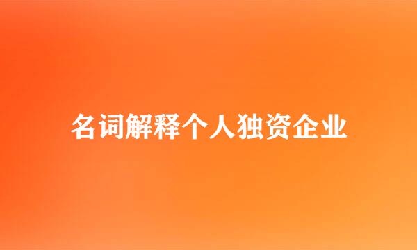 名词解释个人独资企业