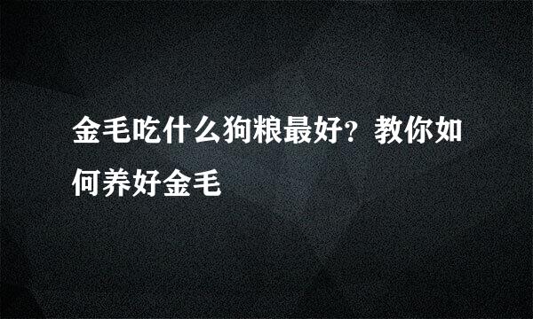 金毛吃什么狗粮最好？教你如何养好金毛
