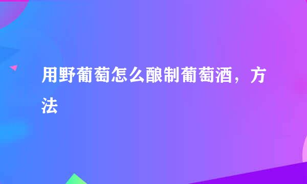 用野葡萄怎么酿制葡萄酒，方法