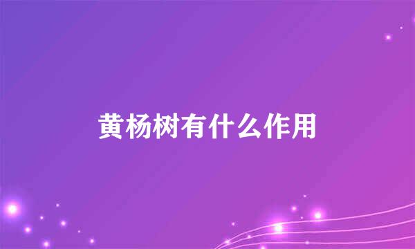 黄杨树有什么作用