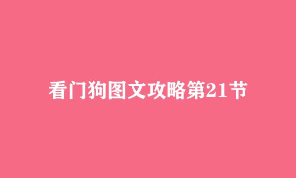 看门狗图文攻略第21节
