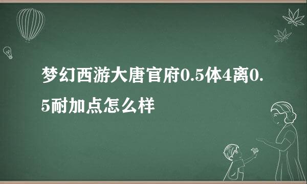 梦幻西游大唐官府0.5体4离0.5耐加点怎么样