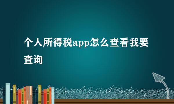 个人所得税app怎么查看我要查询